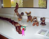 DSCN5706.JPG