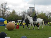 DSCN1079.JPG