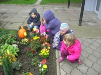 DSCN2851.jpg