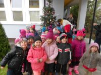 DSCN3108.jpg
