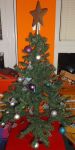 DSCF6037.jpg