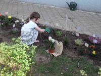 DSCF3268.jpg