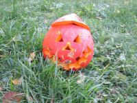 IMG_0044.jpg