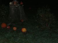 DSCN3895.jpg
