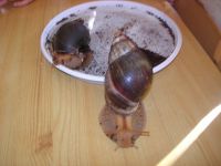 DSCN3247.jpg