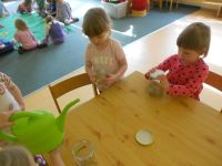DSCN1355.jpg