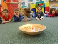 DSCN0815.jpg