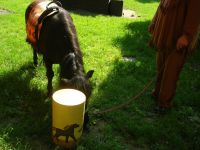 DSCN2432.jpg