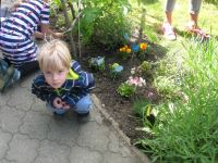 DSCN5497.jpg