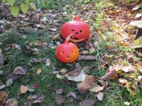 IMG_0043.jpg