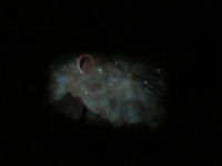 IMG_3891.jpg