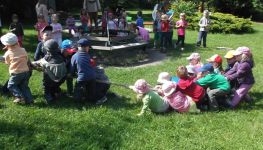 DSCF7848.jpg