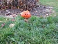 IMG_0062.jpg