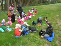 DSCN4337.jpg
