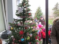 IMG_0250.jpg