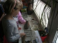DSCN4085.jpg