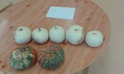 20151104_100622.jpg