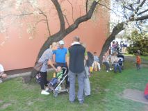 DSCN1136.JPG