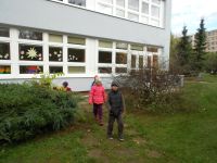 DSCN1518.jpg