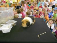 DSCN4832.jpg