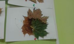 20141114_112911.jpg