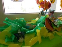 DSCN2113.jpg