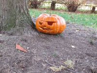 IMG_0045.jpg