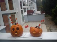 DSC00464.jpg