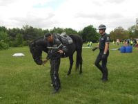 DSCN4497.jpg