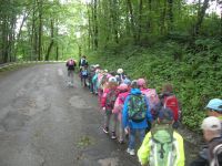 DSCN3520.jpg