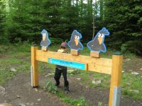 DSCN3562.jpg