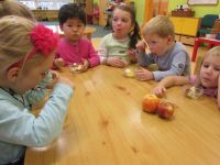 IMG_0098.jpg