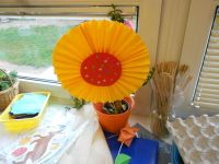 DSCN2072.jpg