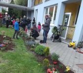 DSCF7467.jpg