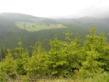 DSCN1755.JPG