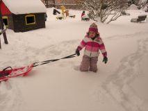 DSCN9522.JPG