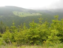 DSCN1760.JPG