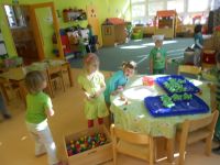 DSCN1322.jpg