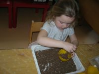 DSCN5370.jpg