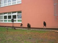 DSCN4706.jpg