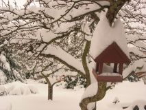 DSCN9527.JPG