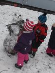 DSCF6681.jpg
