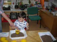 DSCN5363.jpg