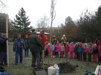 DSCN4916.jpg
