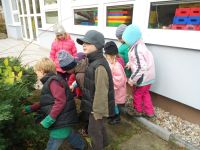 DSCN1520.jpg