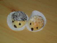 DSCN5017.jpg
