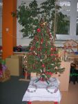 DSCN4964.jpg