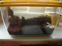 DSCN4593.jpg