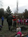 DSCN4915.jpg