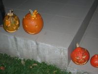 DSCN3891.jpg